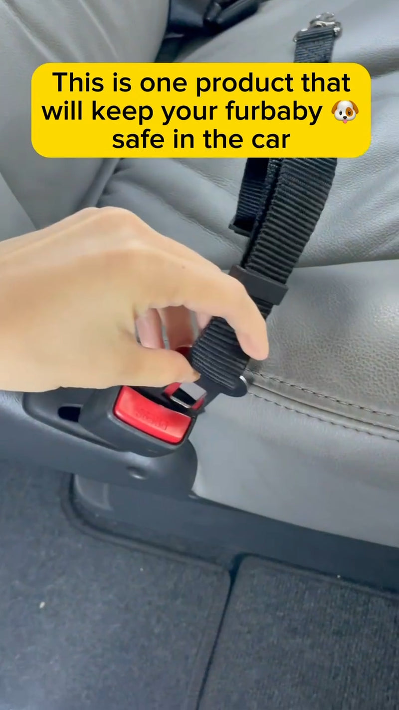 2Pk Dog Seat Belt Car Safety Adjustable Pet Travel Harness Lead Restraint Set