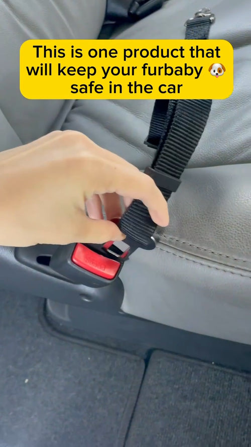 2Pk Dog Seat Belt Car Safety Adjustable Pet Travel Harness Lead Restraint Set